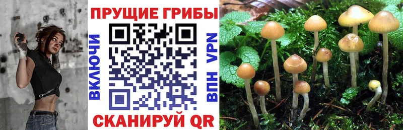Галлюциногенные грибы MAGIC MUSHROOMS  мега сайт  Семикаракорск 